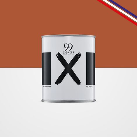 Peinture Mur Velours - Brique - Interieur - 1l (1/5)