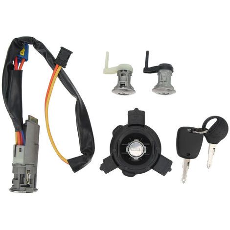 Kit completo di cilindro serratura veicolo con interruttore di accensione e serratura porta 4162EW, ricambio per Peugeot 206 206CC (1/5)