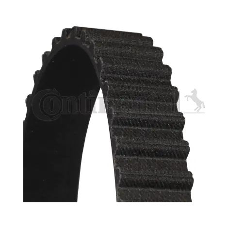 Courroie crantée Continental CT688 FORD 1653888 1660555 6092137 6109189 6162731