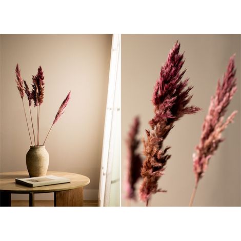 SKLUM 5 Stück Dagrai Deko-Trockenzweige Blass Lila-Rosa