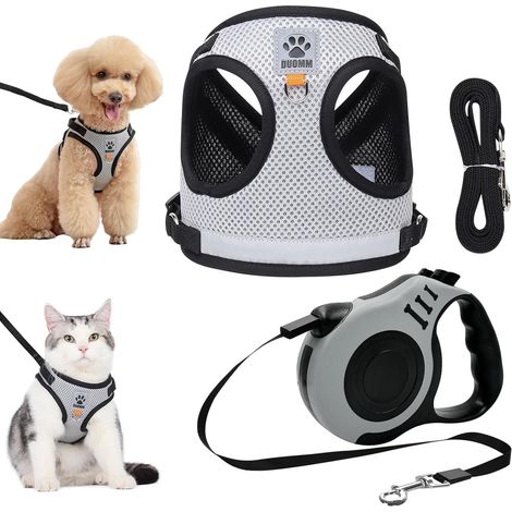 Harnais et Laisse pour Chat Réglable avec Sangle Rétractable - Kit de Promenade Sécurisé et Confortable pour Animal de Compagnie (1/5)