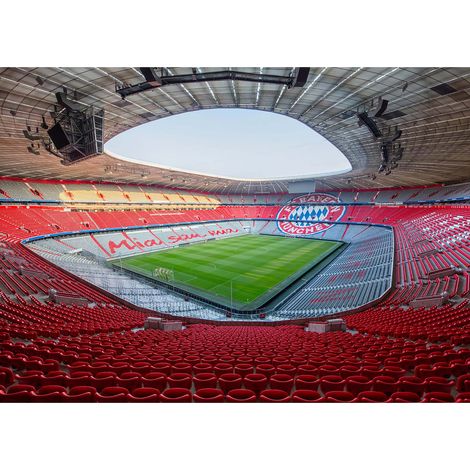 Tableau stade de foot allemand | Tableau sport pour chambre garçon | Tableau sur toile rouge & blanc pour chambre enfant 0,7 x 0,5 m (1/2)