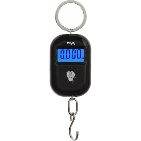 Mini Luggage Scale Portable Electronic Scale Digital Fish Scale with Zero Tracking Function 25kg Double-range Scale Digital Hanging Scale (1/3)