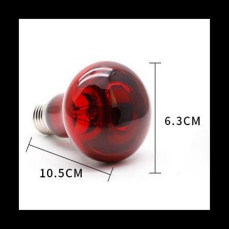 Ampoule Chauffante - 100 W - Rayonnement UVA - Pour Terrarium Reptiles Et Amphibiens - Lot De 2 (1/5)
