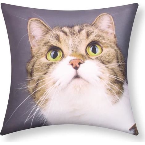 Housses de Coussin - AVIZAR - Lot de 2 - 40x40 cm - Motif Chat Moustache - Multicolore (1/5)