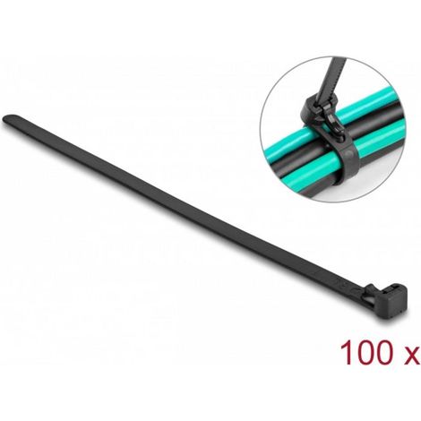 DeLOCK Delock 19066 - Attache-câbles à crochets et à boucles - Nylon - Noir - 300 mm - 7,6 mm - 100 pièce(s) (1/4)
