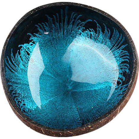 Bol de Coco Naturel Fait Main - Récipient Décoratif et de Rangement en Noix de Coco (1/5)
