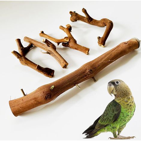 Perchoir à Oiseaux en Bois, Perroquet Jouet Branches, Perchoir à Oiseaux en Bois Naturel pour Perroquet, Perchoir pour Cage à Oiseaux pour Petites Perruches, Calopsittes, Conures (1/5)