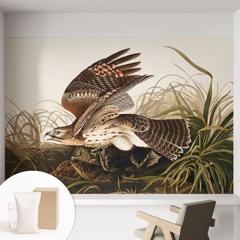 Papier peint intissé à motifs décoratifs pour salon chambre et bureau Décoration murale élégante avec colle Beauté ailée 152x104 cm (1/5)