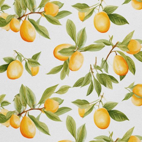 Tela decorativa para exteriores Oxford - Frutas cítricas - DX2527 (1/5)