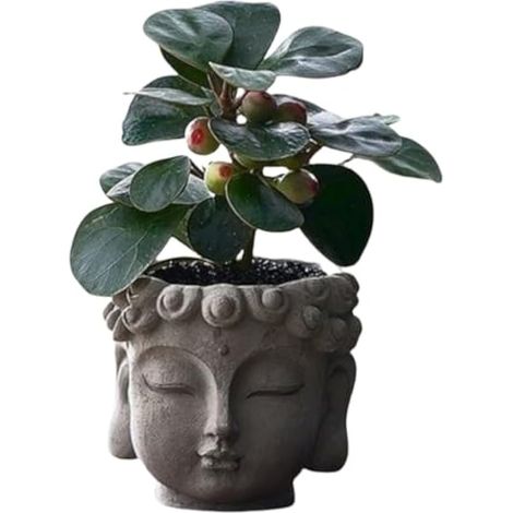 Pot de fleurs en résine en forme de tête de Bouddha avec trou de drainage – Pot de fleurs zen pour plantes grasses, plantes aériennes, décoration de maison et de bureau, cadeau unique pour les (1/5)
