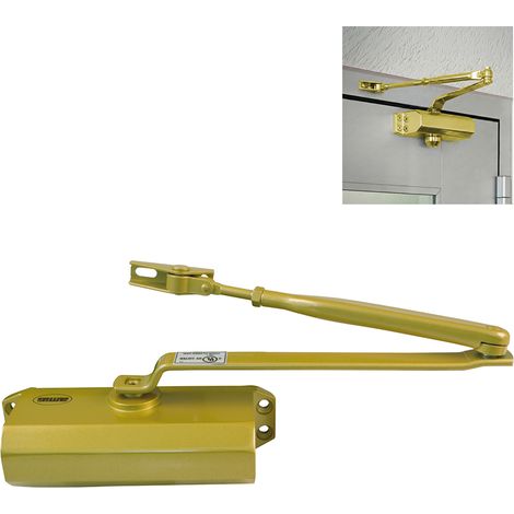 AMIG Ferme-porte 777 Force 2/3/4 Aluminium Or (1/4)