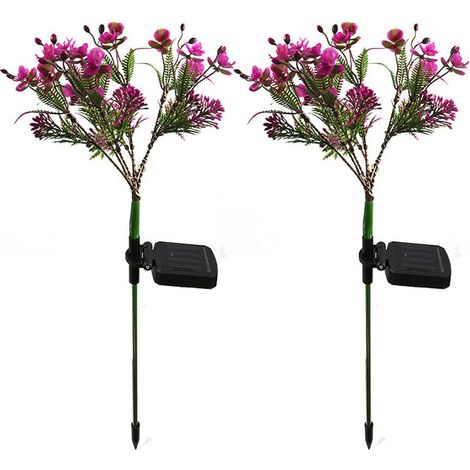 Guirlandes lumineuses solaires Phalaenopsis pour jardin, pelouse, allée (2 pièces) - FF --AquaForge