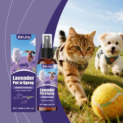 Pet Lavender Spray - Daily Maintenance for Cat Beds, Dog Mats, and Sofas Cleansing and Fragrance Retaining for Cats and Dogs - 100ml (1/5)