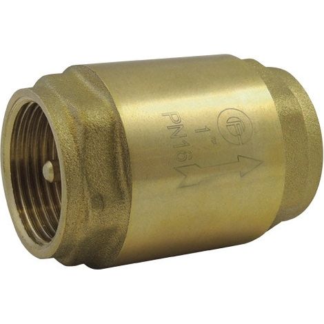 Clapet anti-retour compact à ressort avec obturateur Laiton - Toutes positions 1'1/4 - Codital