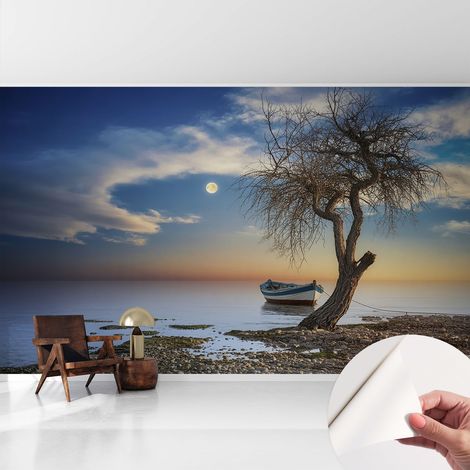 Papier peint adhésif décoratif pour salon chambre et cuisine Facile à poser avec colle Paysage paisible 416x254 cm (1/5)