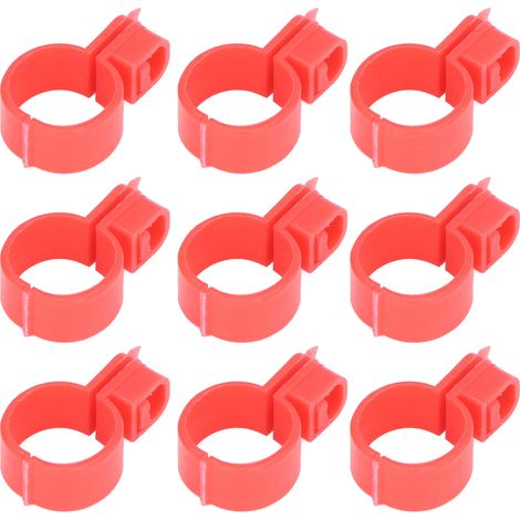 100 bandes d'identification pour pattes de poulet, avec boucle, installation facile, en TPU.