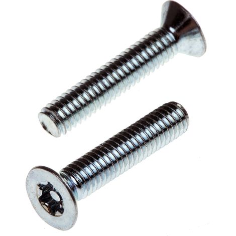 Vis de sécurité inviolable, M4 x 20mm, tête plate, en Acier ( Prix pour Sachet de 100 )
