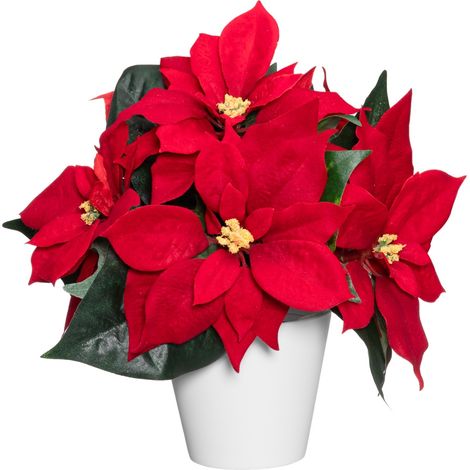 Künstlicher Weihnachtsstern in Hülle, 6 Blumen, 23 × 30 × 20 cm (1/5)
