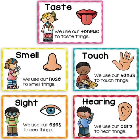 Lot de 5 Cartes d ' Apprentissage des Cinq Sens, Affiche de cognition sensorielle pour Les d ' âge préscolaire, activités d ' Expression linguistique et de développement cognitif, Affiches (1/5)