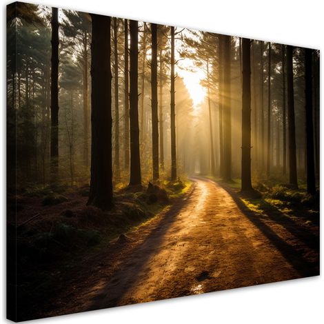 Tableau sur toile Chemin de forêt 100x70 (1/5)