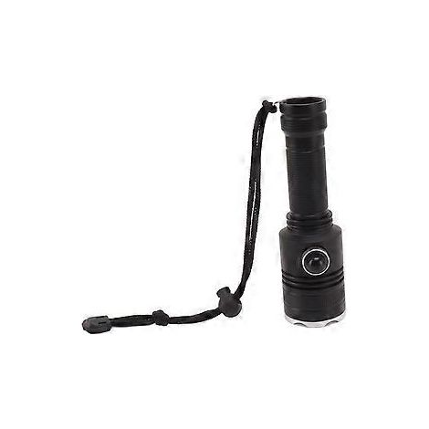 Lampe torche LED sous-marine à forte luminosité, longue portée, étanche IPX8, 1000 lumens (1/5)