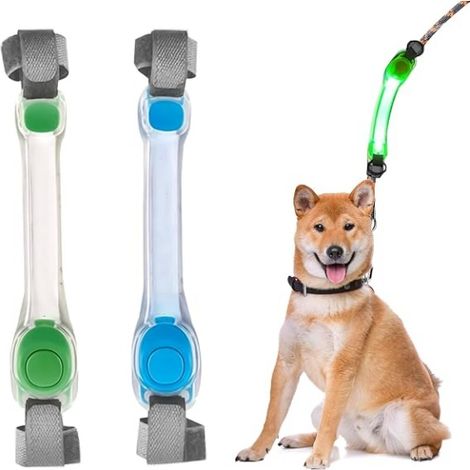 Lot de 2 bandes lumineuses LED rechargeables par USB - Bande lumineuse pour chiens et chats - Facile à attacher (1/5)