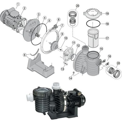 Pentair – Joint de couvercle pour pompe de piscine – Étanchéité parfaite – Résistant aux produits de traitement – Installation facile et durable