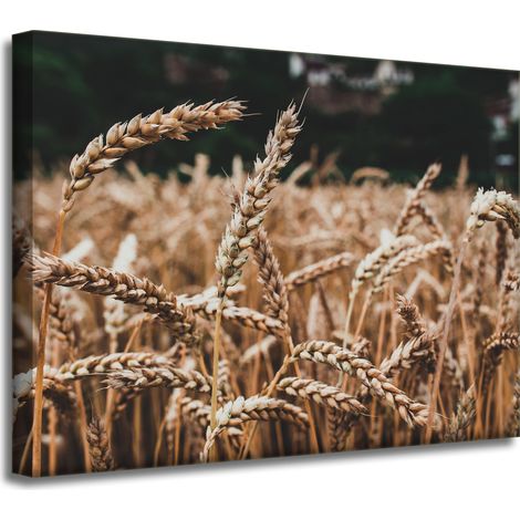 Leinwanddruck „Weizenfeld“ (40 x 30 cm) – Erntezeit