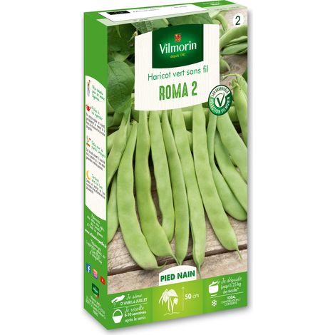 Haricot nain vert plat Roma – Gousses plates vert clair – Semis de mars à juin – Récolte facile et savoureuse – Vilmorin