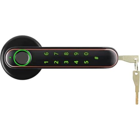 Serrure de porte intelligente Serrure de porte intelligente serrure d'empreinte digitale Tuya App mot de passe biométrique empreinte digitale déverrouiller serrure électronique maison poignée intérieu (1/5)