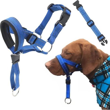 Laisse-passer canin avec sangle de sécurité, collier de tête réfléchissant pour chien, harnais anti-traction réglable pour dressage (1/5)