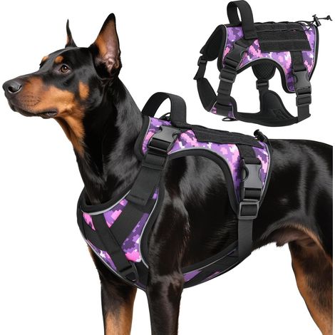 Harnais Tactique Chien, Harnais Chien Contrôle Facile (1/5)
