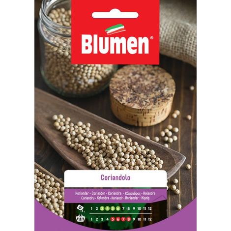 SEMI CORIANDOLO FOGLIE AROMATICHE BLUMEN