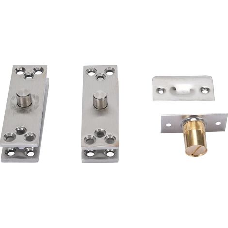 Charnière à Pivot de Porte Dissimulée, inox renforcé (1/5)