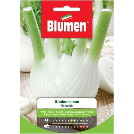 SEMI FINOCCHIO WADENROMEN BLUMEN
