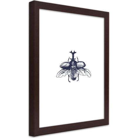 Quadro con cornice, Scarabeo volante - 20x30 (1/5)