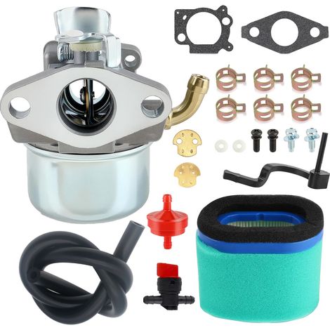 Vergaser-Kit für Briggs & Stratton 798653 697354 790290 791077 698860 Rasenmähermotor mit Luftfilter