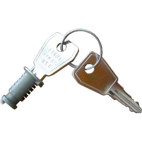Serrure pour coffret Michaud (1/2)