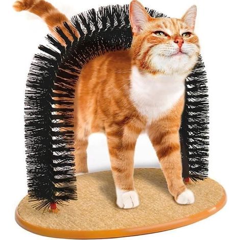 PURRFECT ARCH Jouet Brosse de Pet Chat L'Auto-toiletteur et Masseur pour Animaux de Compagnie (1/4)