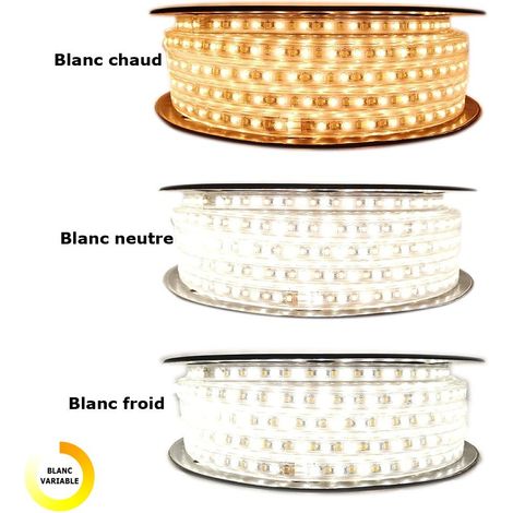 Sysled – Ruban LED professionnel 50 mètres – Température de couleur ajustable blanc chaud/froid – IP68 pour usage extérieur – 120 LED/m 16W (1/3)