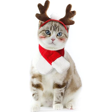 Weihnachtsoutfits für Hunde, Weihnachtskatzenkleidung, Hundekostüm mit Schleife