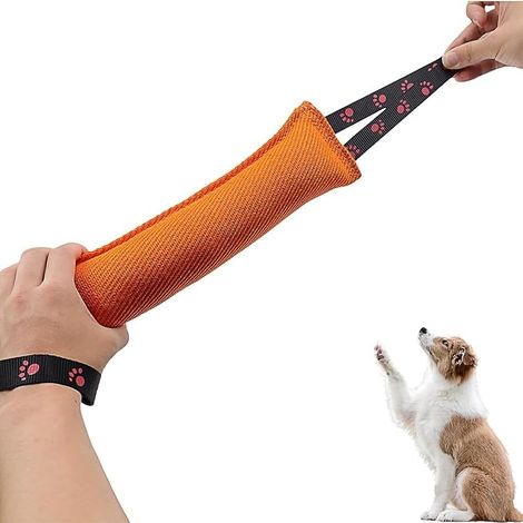 Boudin Chien, Jouet à Mâcher Chien Indestructible Saucisse 30 cm (1/5)