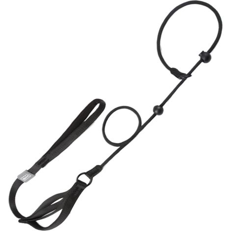 1 laisse pour animal de compagnie - noire