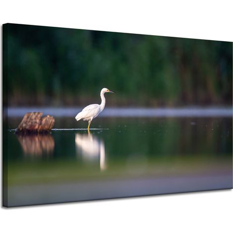 Leinwanddruck Tiere Weißer Reiher 120x80 cm