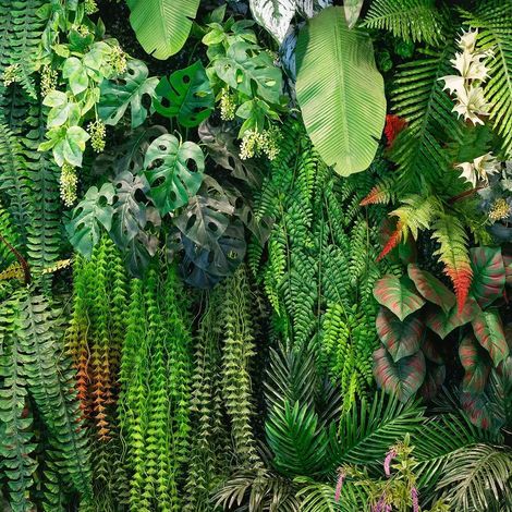papier peint panoramique feuilles de la jungle vert  - Sanders & Sanders (1/5)