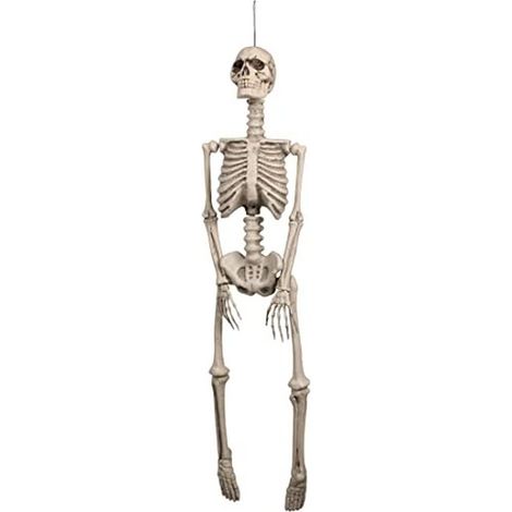 Boland-Scheletro Decorazione, Bianco, L (92 cm), 74368