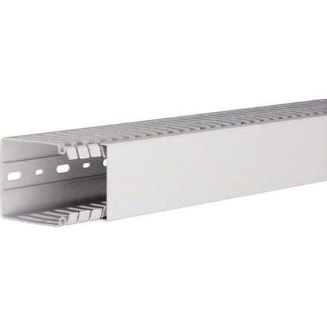 Tehalit Verdrahtungskanal 80x60,lgr HA 780060 lgr 2 Stk
