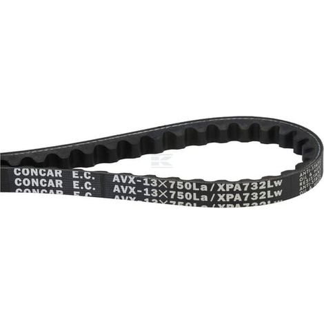 Courroie AGRIA 106388