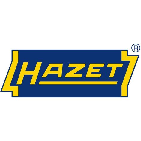 Hazet Steckschlüssel-Satz 953HP 1/4" und 1/2" 47-teilig (953HP) (1/5)